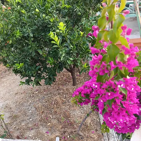 Sole Casa de hóspedes 3*