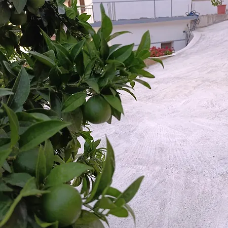 Sole Vlorë