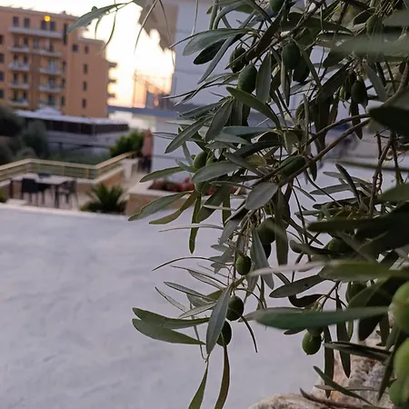 Sole 3* Vlorë