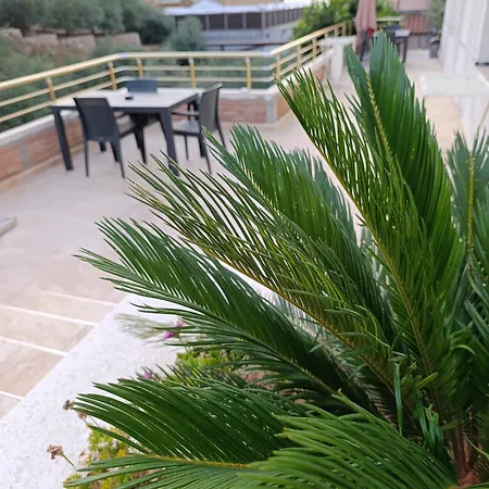 Sole Vlorë