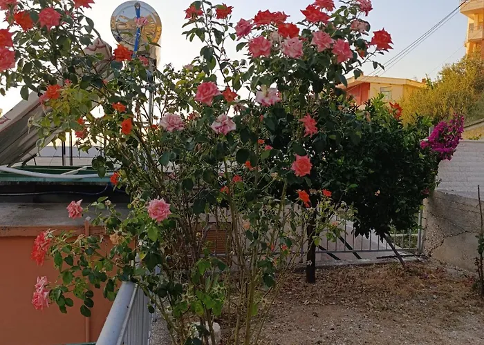 Sole Konukevi 3*