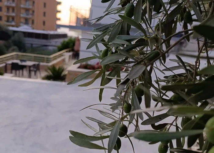 Sole 3* Avlonya